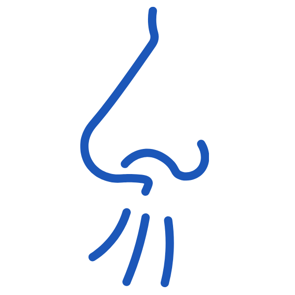 waste-free-general-waste-hygiene-issues-nsw Wastefree highlighting odour and hygiene risks caused by poorly managed general waste systems.