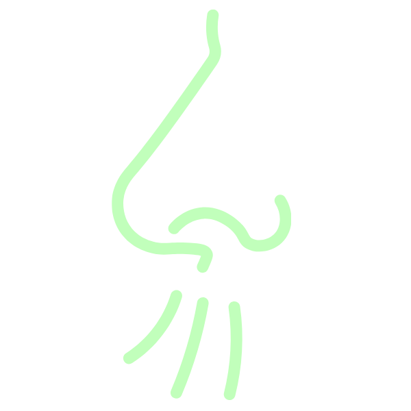 waste-free-odour-and-hygiene-risks-general-waste Wastefree addressing general waste hygiene and odour issues across NSW business sites.