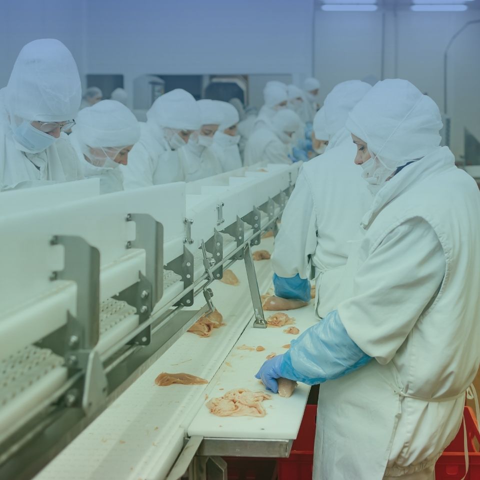 Food processing facility generating high-volume organic waste for industrial recycling and compliance management